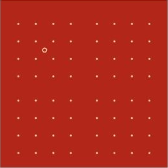 Butterfly Joy Rangoli